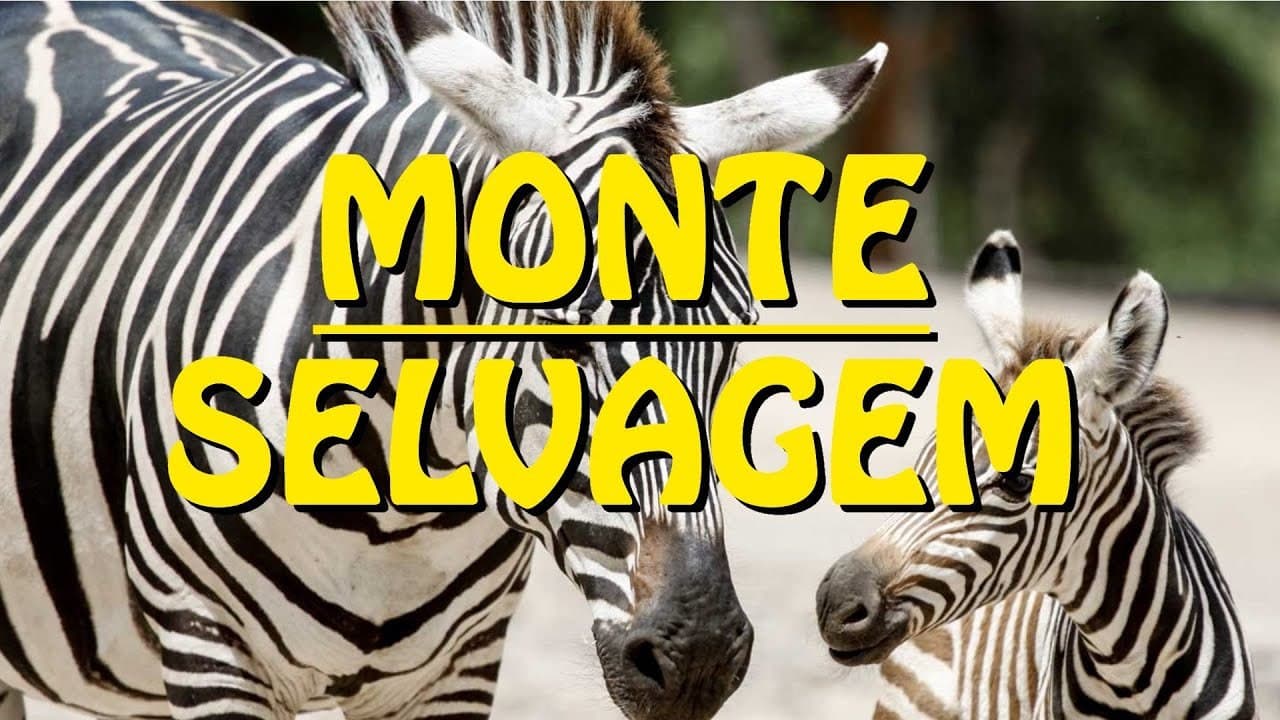 Fashion Monte Selvagem Animal Reserve - Portugal HD - YouTube