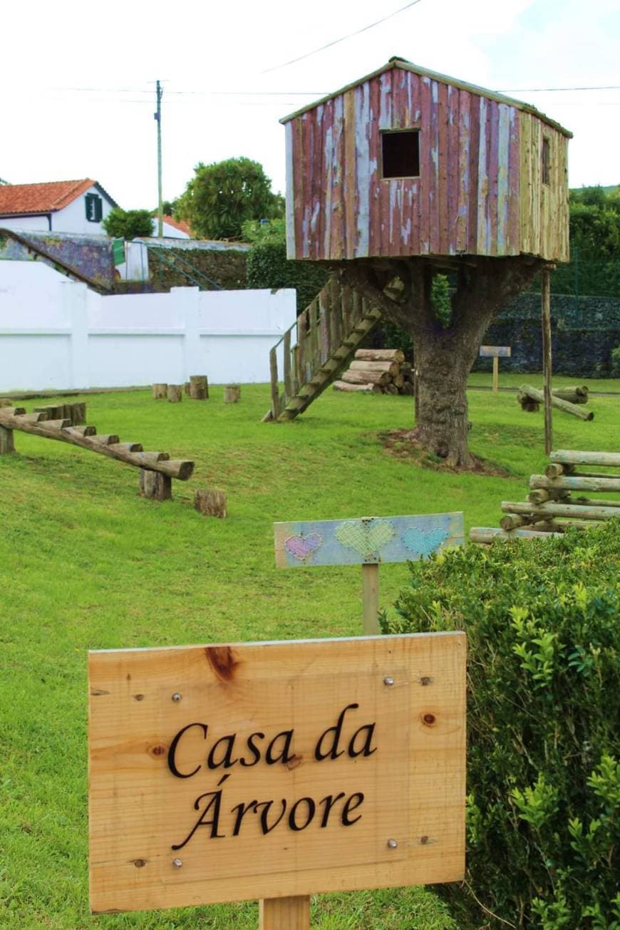 Place Casa da Árvore