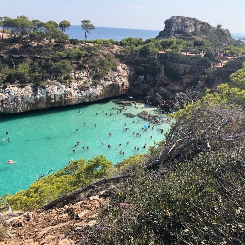 Place cala del moro