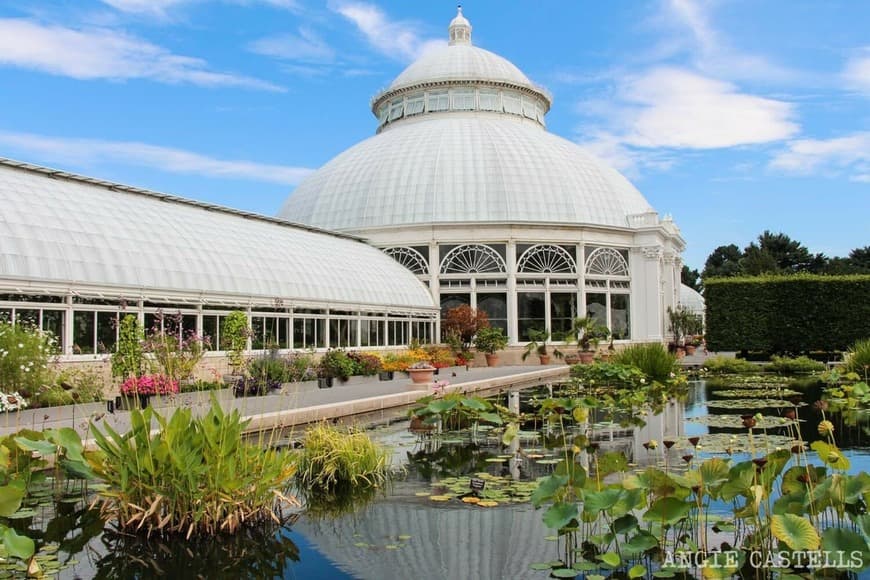 Place Botanical Garden of Valencia