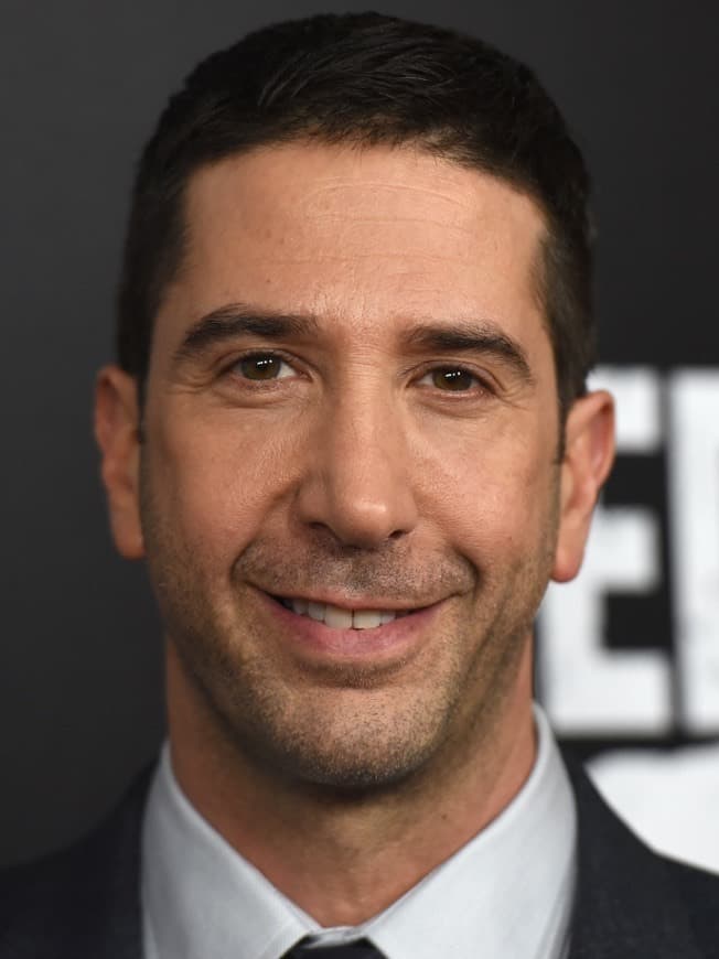 Moda David Schwimmer