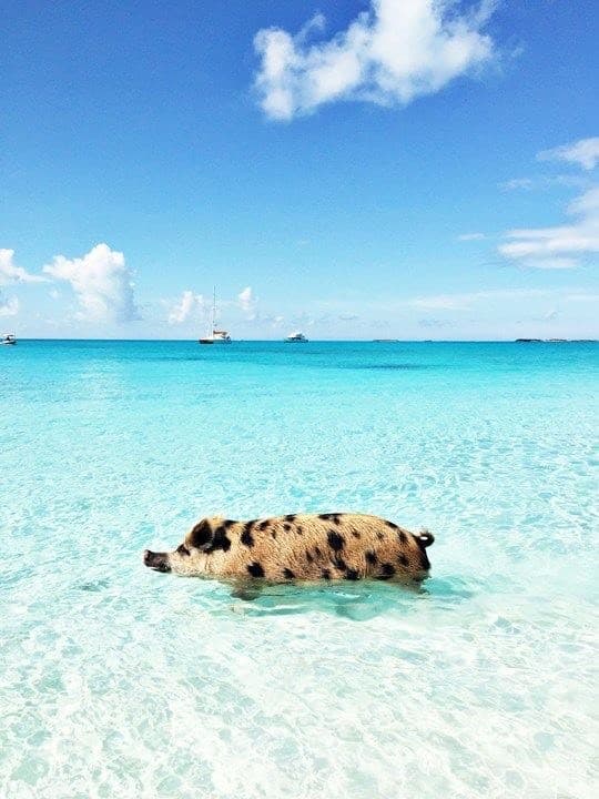 Lugar Bora Bora