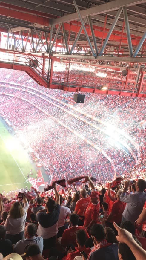 Place Estádio Sport Lisboa e Benfica