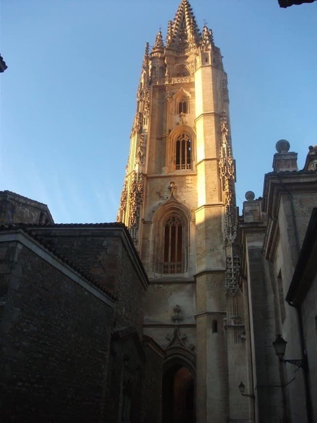 Lugar Catedral de Oviedo