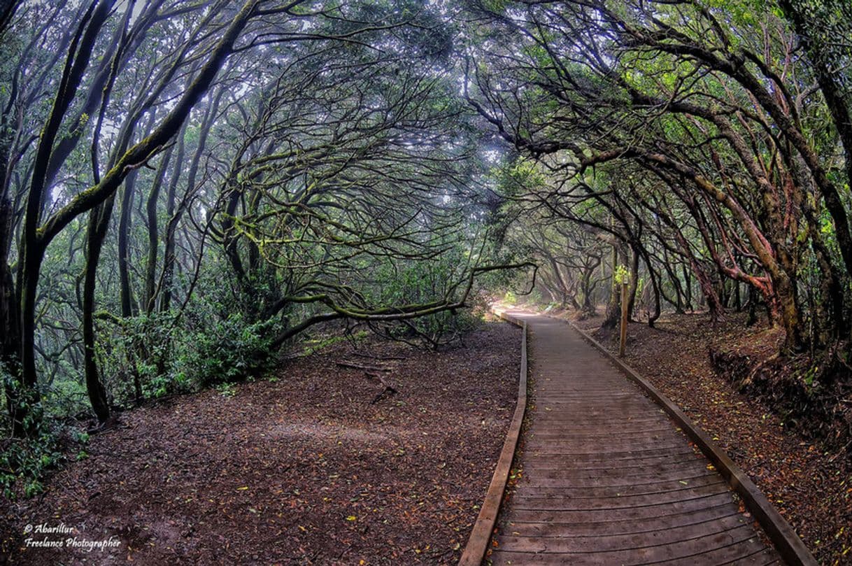 Lugar Sendero de los Sentidos - Path of the Senses