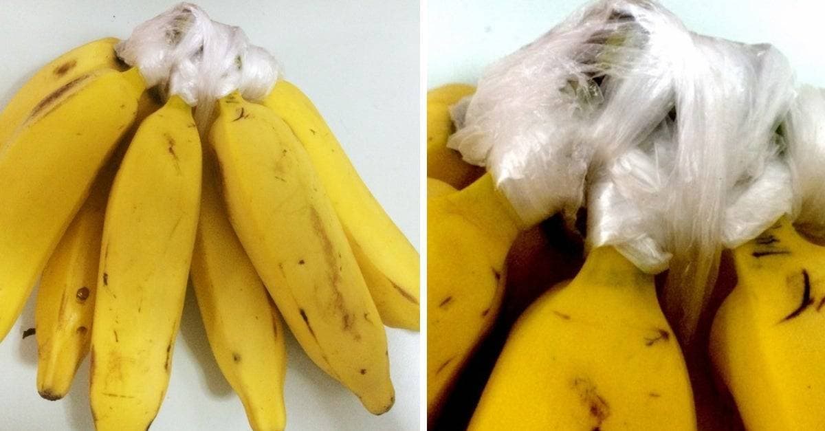 Fashion COMO CONSERVAR BANANAS SEM FICAREM DEMASIADO MADURAS