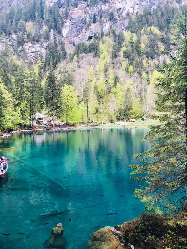 Place Blausee