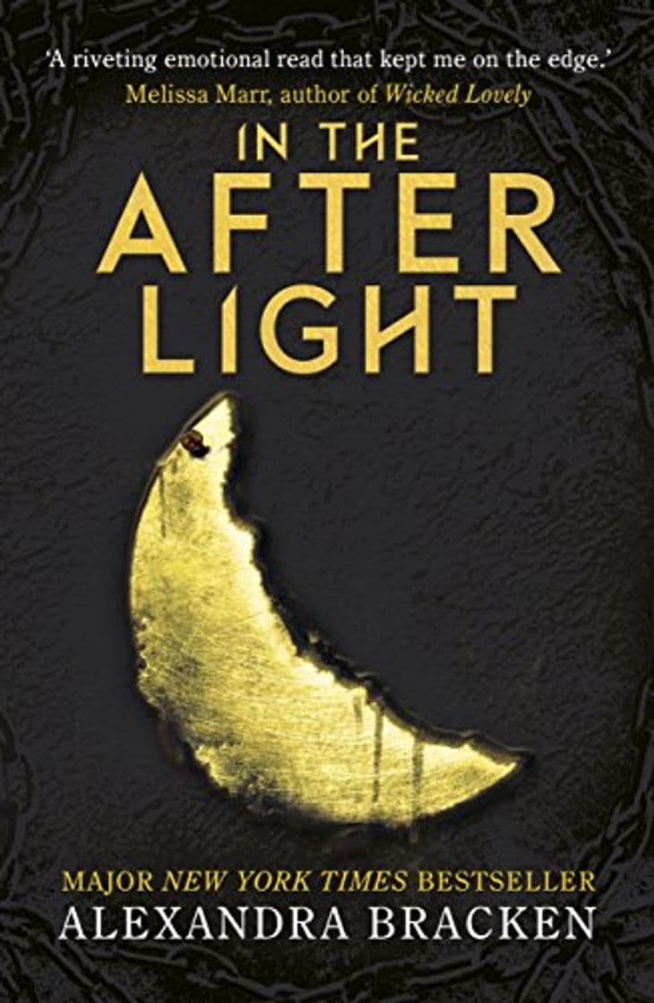 Libro In the Afterlight: Book 3