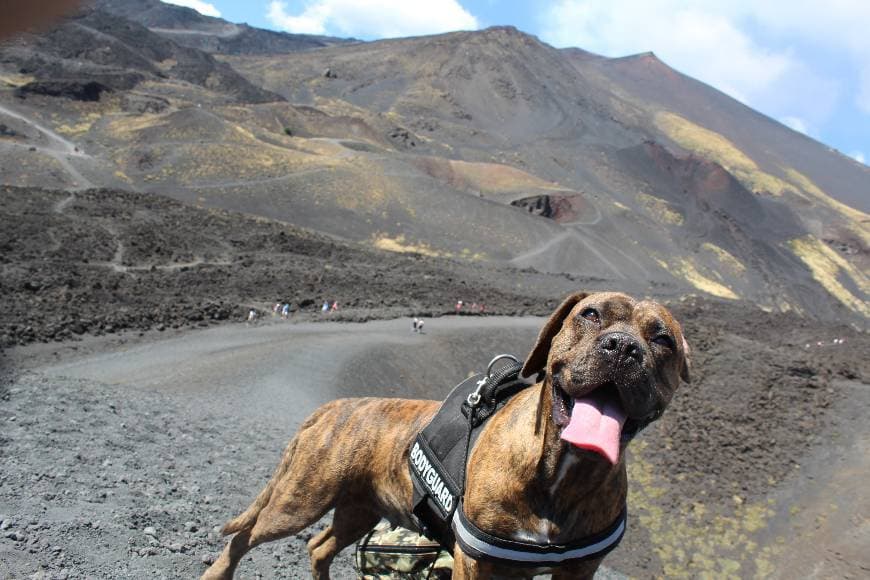 Lugar Etna