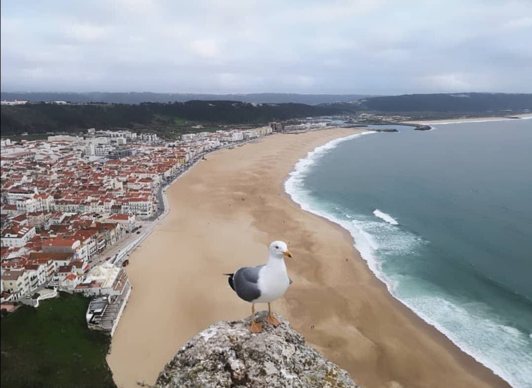 Lugar Sitio de Nazaré