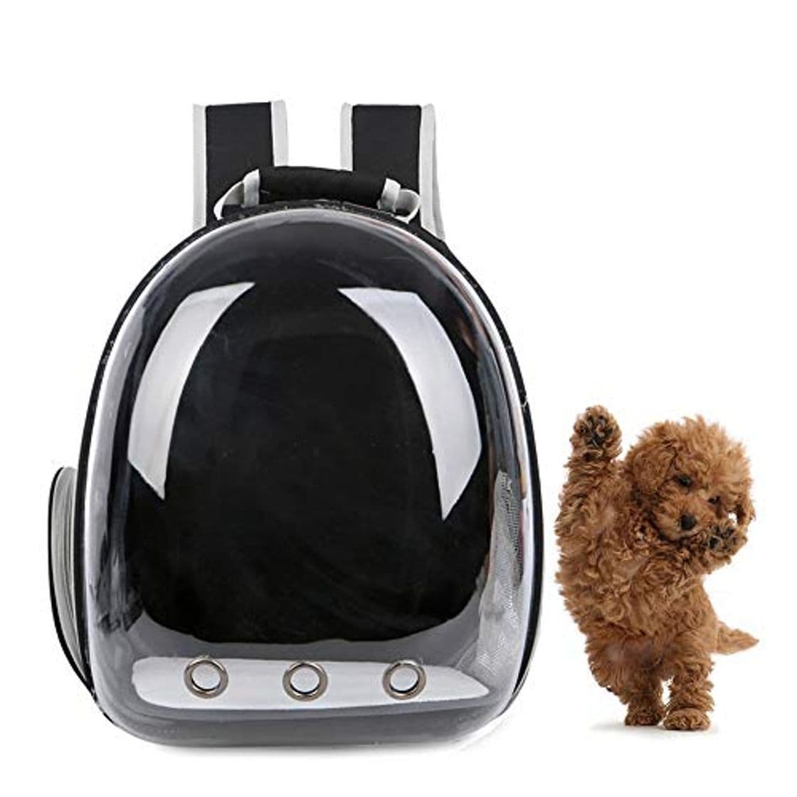 Lugar AlwaySky Mochila para Transportar Mascotas