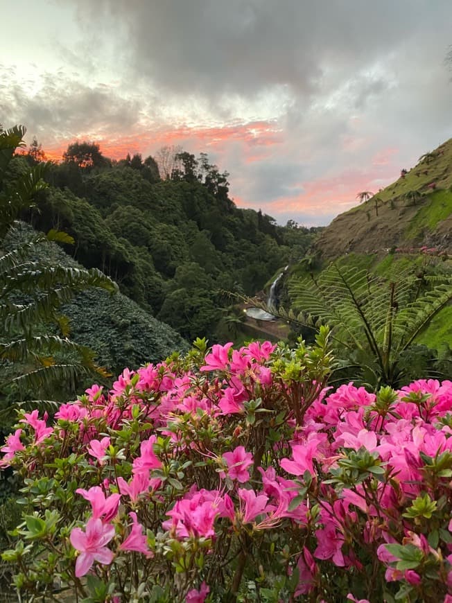 Place Açores