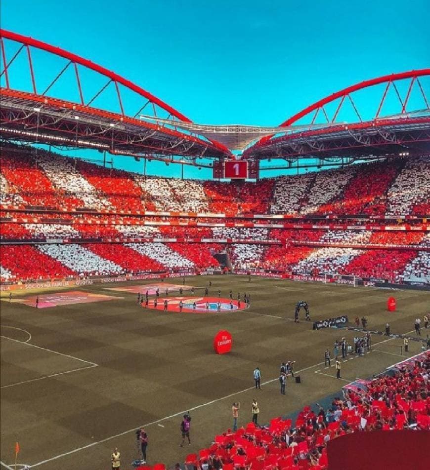 Place Estádio Sport Lisboa e Benfica