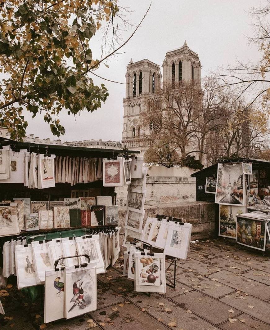 Place Notre Dame