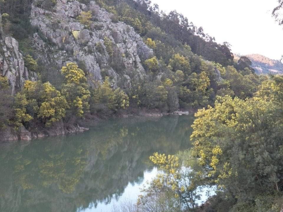 Lugar Livraria do Mondego