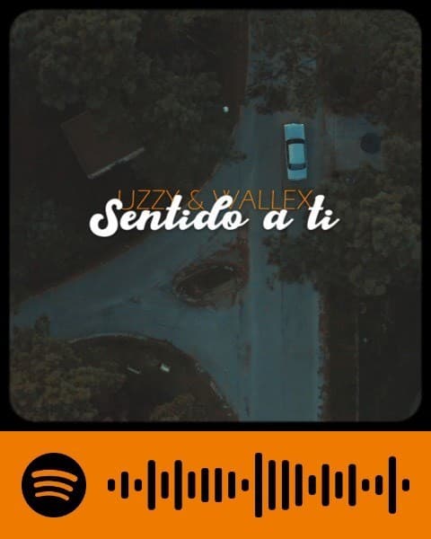 Canción Sentido a ti