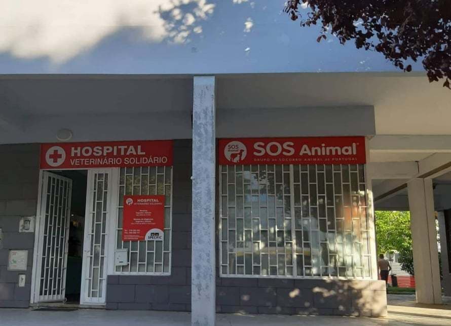 Lugar HVS SOS Animal