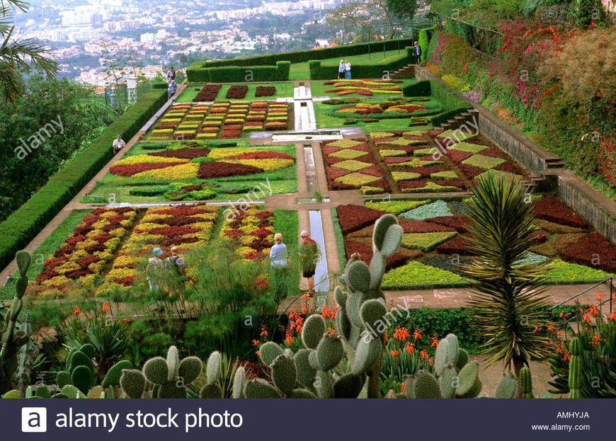 Lugar Jardim Botânico 