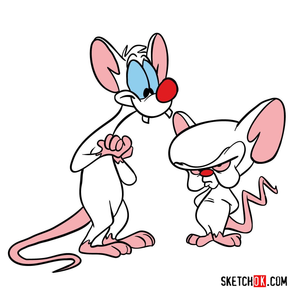 Moda Pinky & the Brain