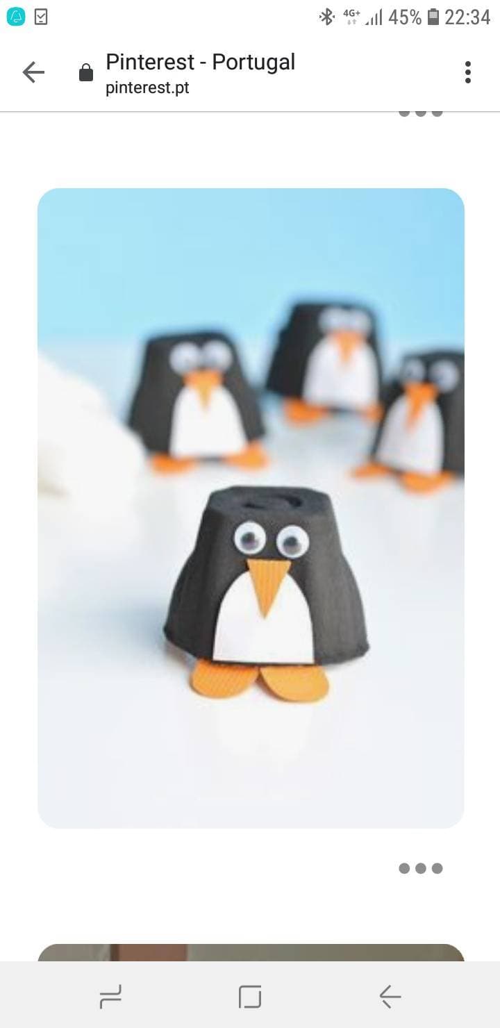 Fashion Pinguim 