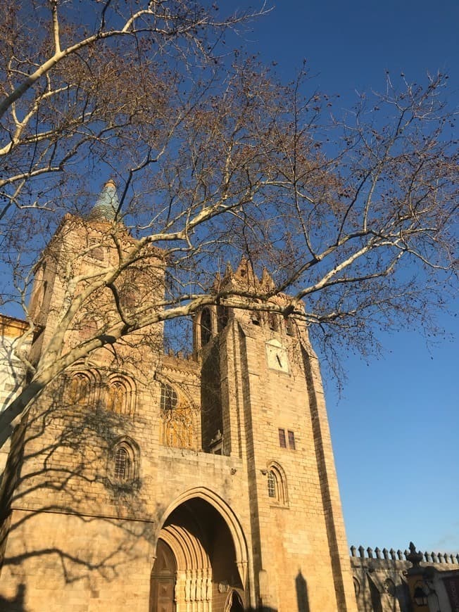 Lugar Catedral de Évora