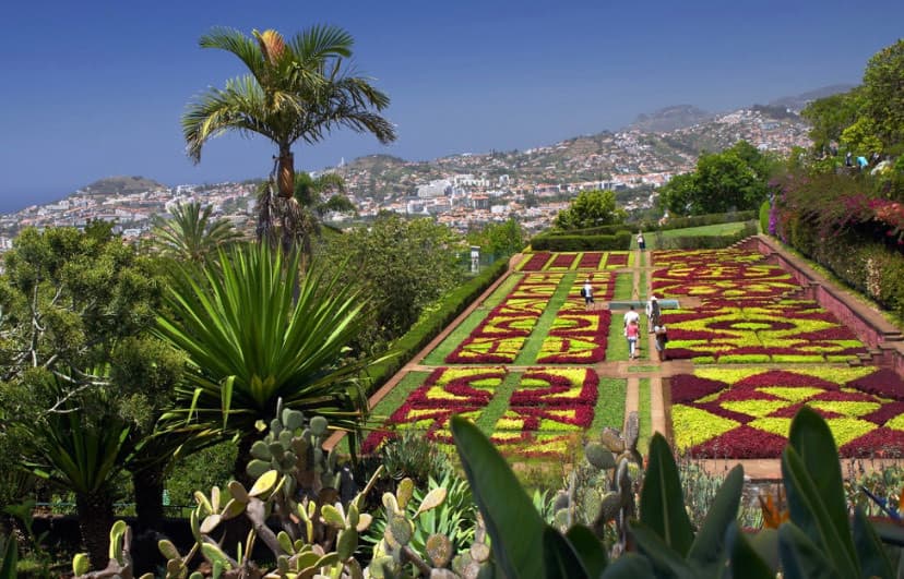 Moda Jardim Botânico da Madeira