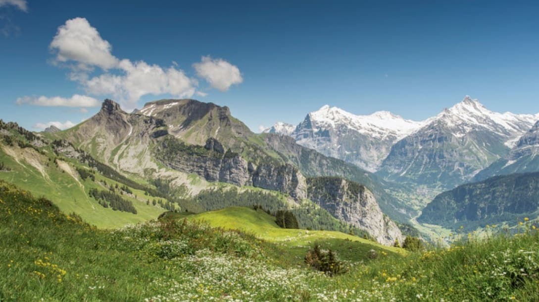 Place Schynige Platte