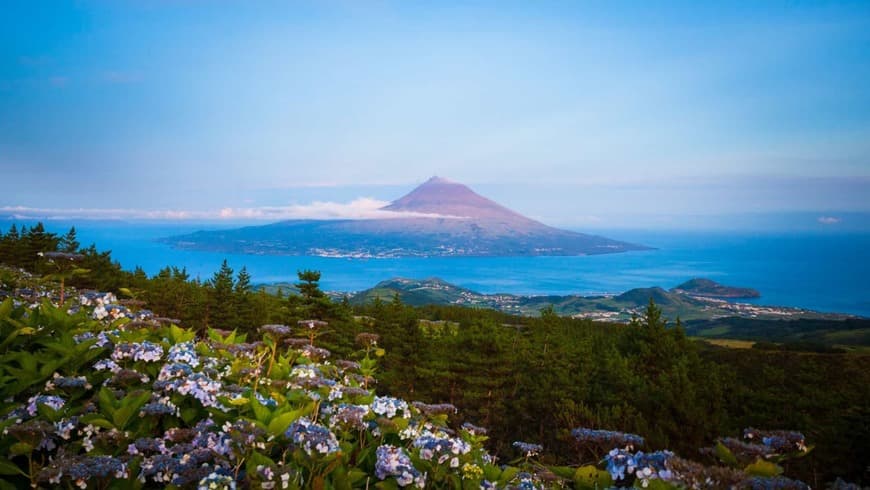 Lugar Ilha do Pico