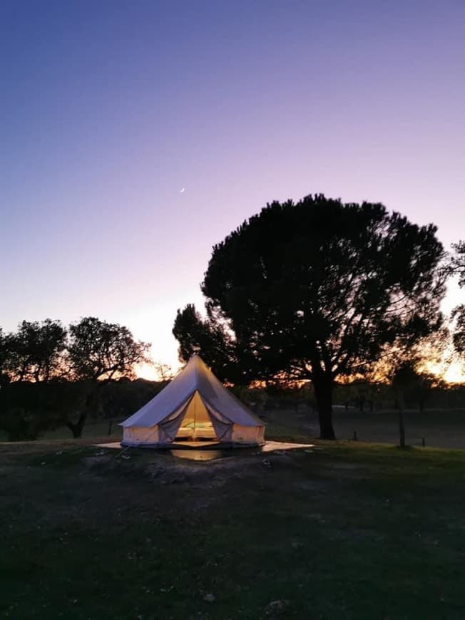 Lugar Direction South Glamping