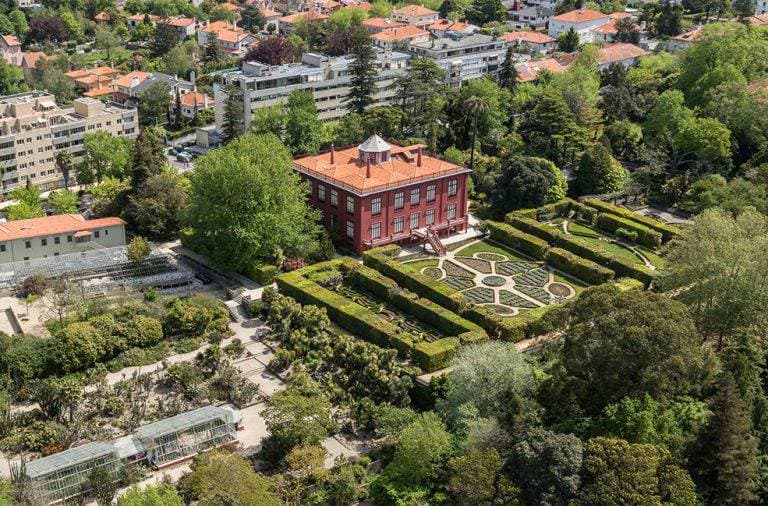 Lugar Jardim Botânico