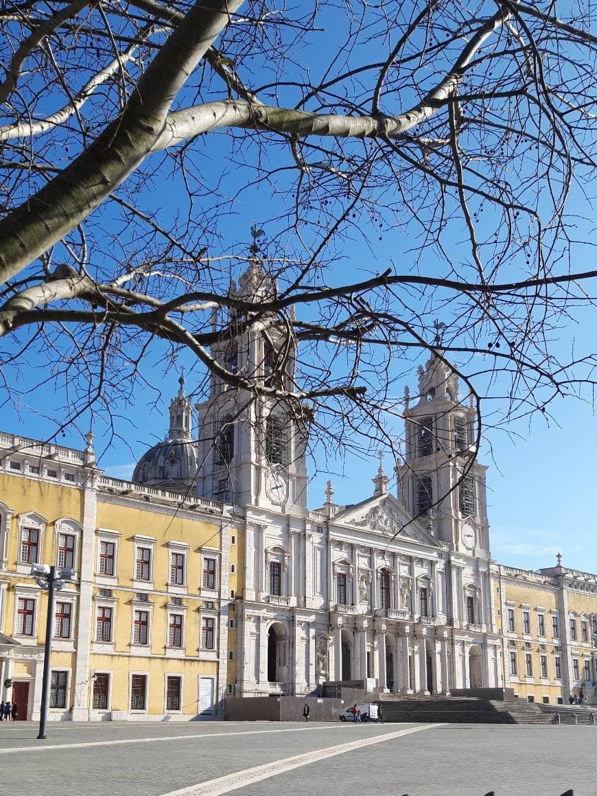 Place Mafra National Palace