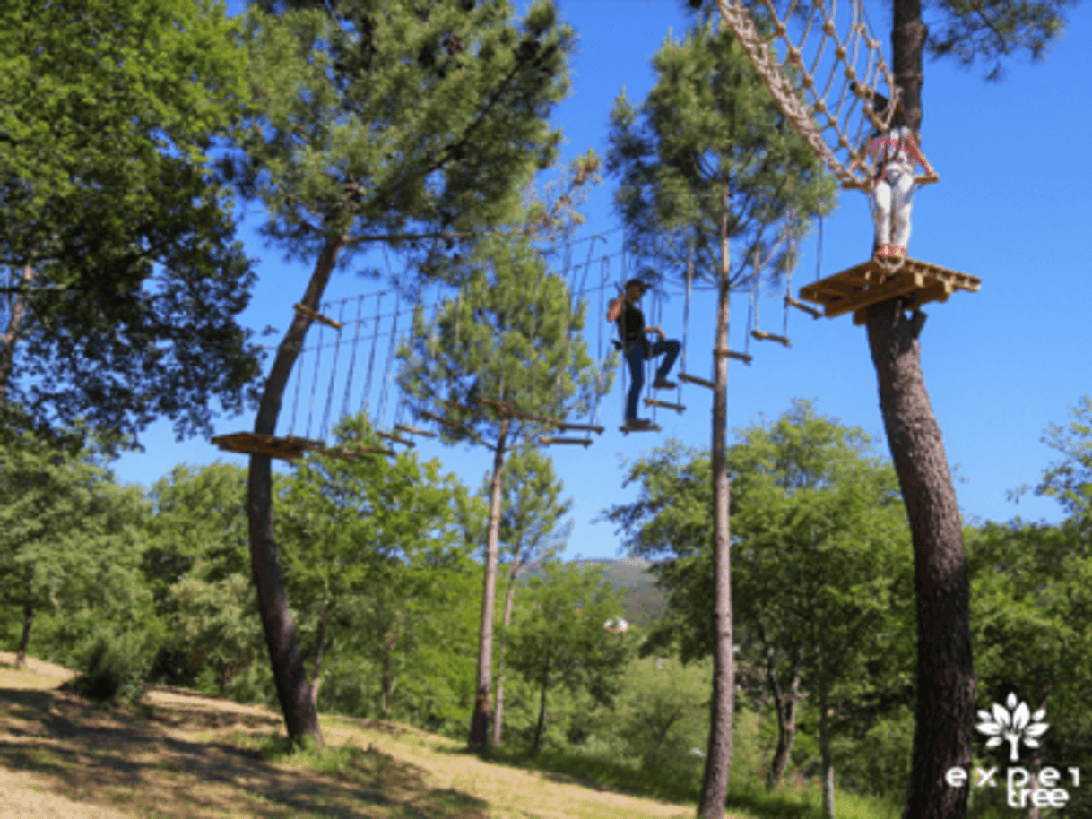 Place Arborismo - ExperTree PARK