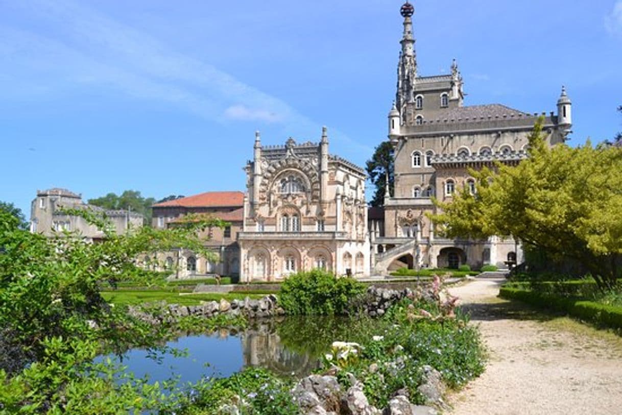 Place Mata Nacional do Buçaco