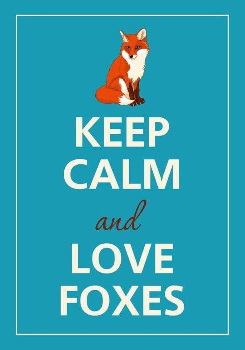 Fashion Fox - Keep calm Wallpaper