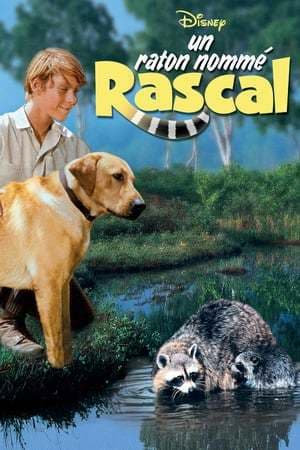 Movie Rascal