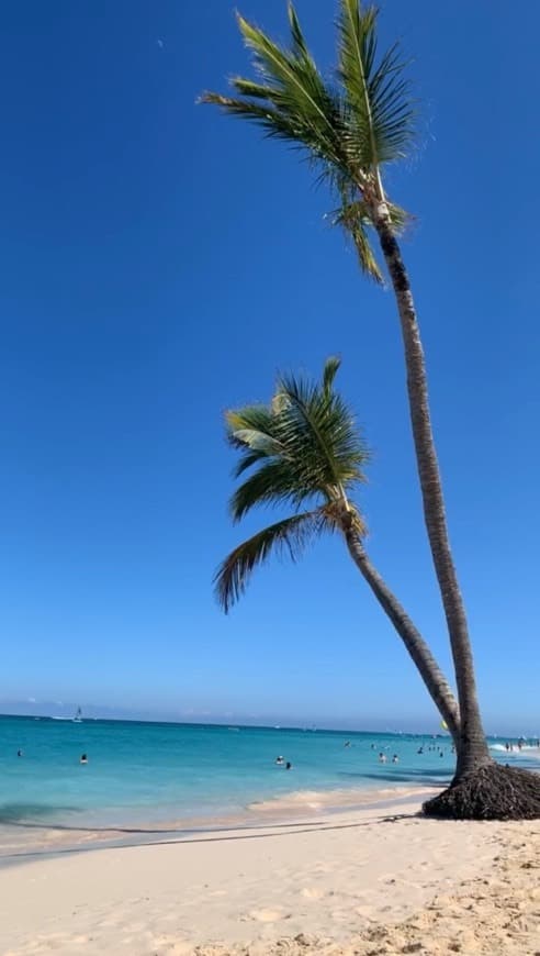 Lugar Punta Cana