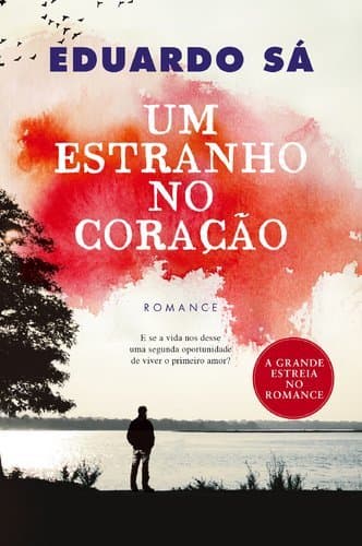 Book Um Estranho No Coração