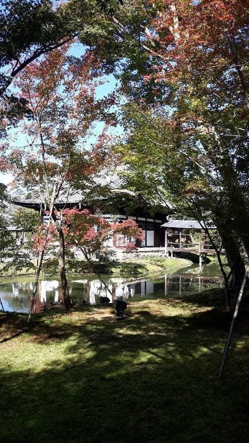 Lugar Kōdai-ji