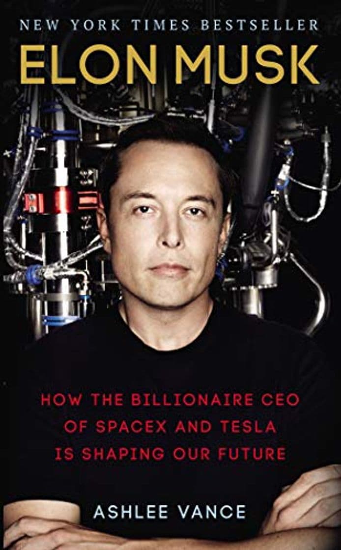 Book Elon Musk: How the Billionaire CEO of SpaceX and Tesla is shaping