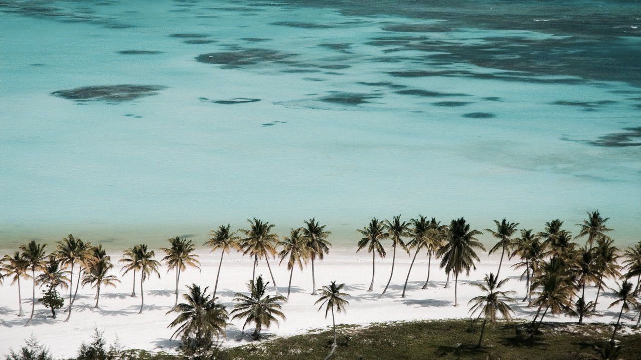 Lugar Punta Cana