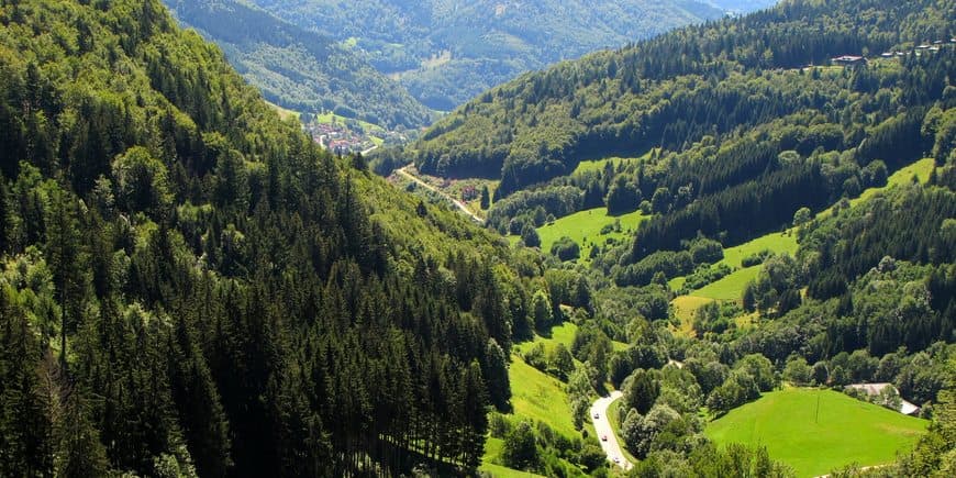 Lugar Selva Negra