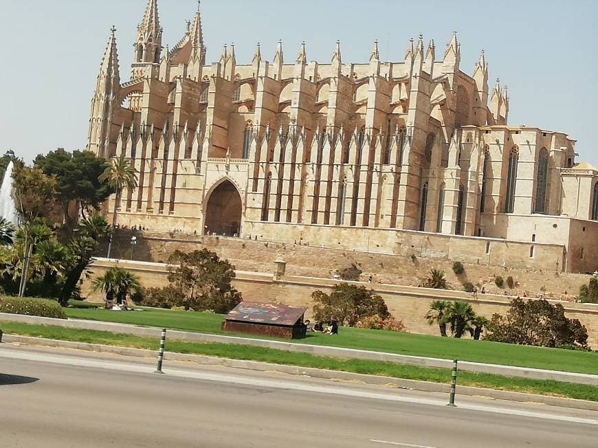 Place Catedral-Basílica de Santa María de Mallorca