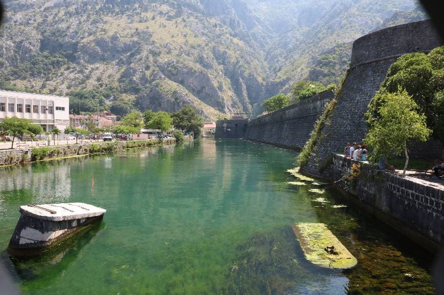 Place Kotor