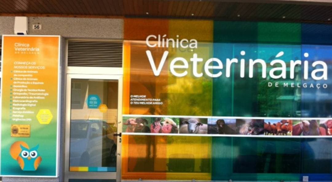 Place Clínica Veterinária de Melgaço