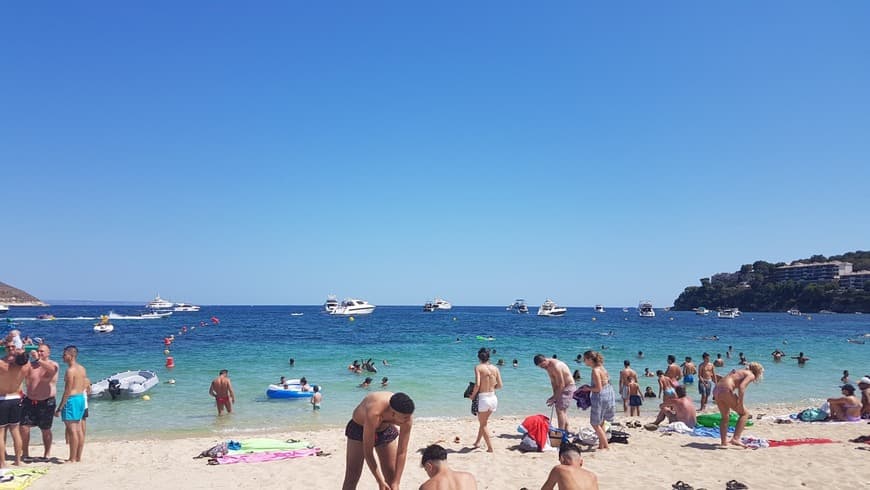 Lugar Magaluf Beach