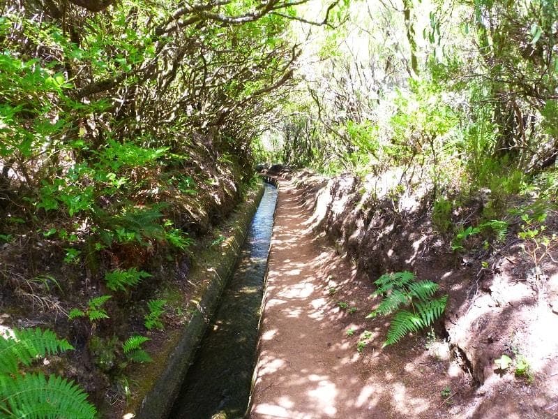 Lugar Levada do Alecrim