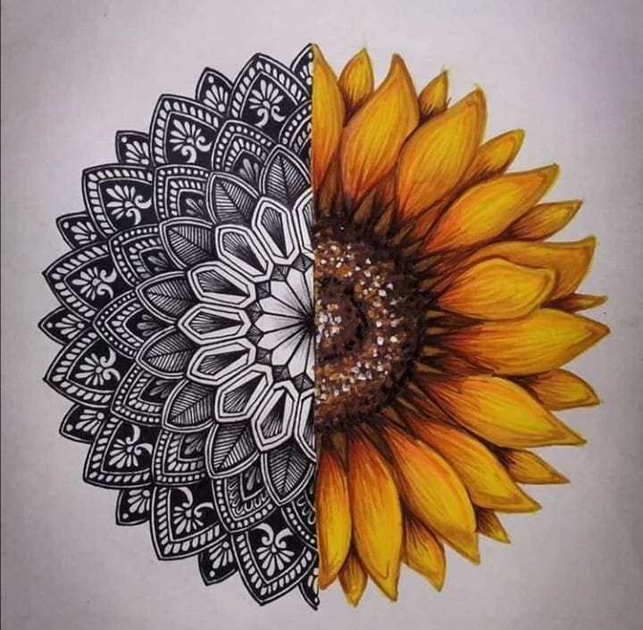 Fashion Mandala and sunflower 