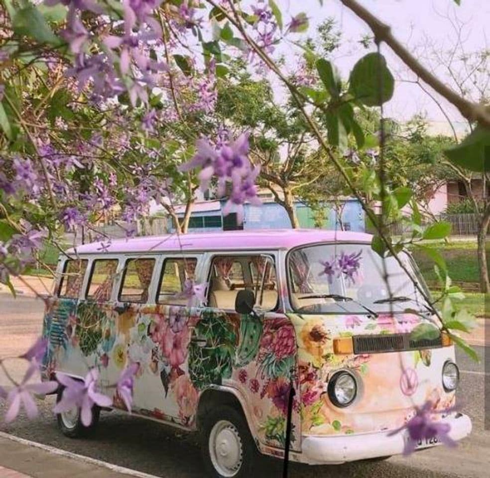 Moda Hippie car 