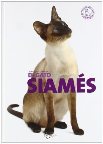 Place El gato siamés