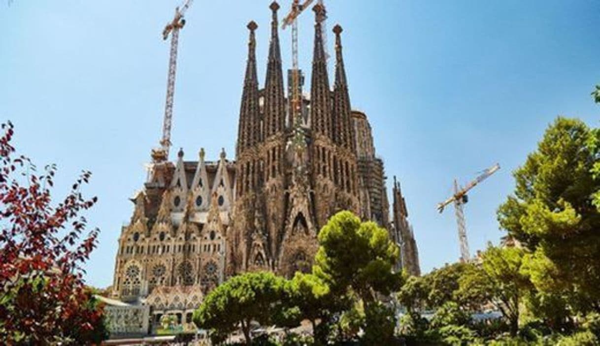 Lugar Basílica Sagrada Familia